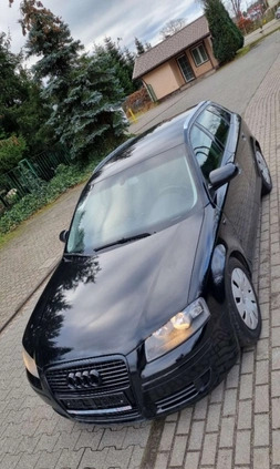 Audi A3 cena 18900 przebieg: 269000, rok produkcji 2005 z Wisła małe 326